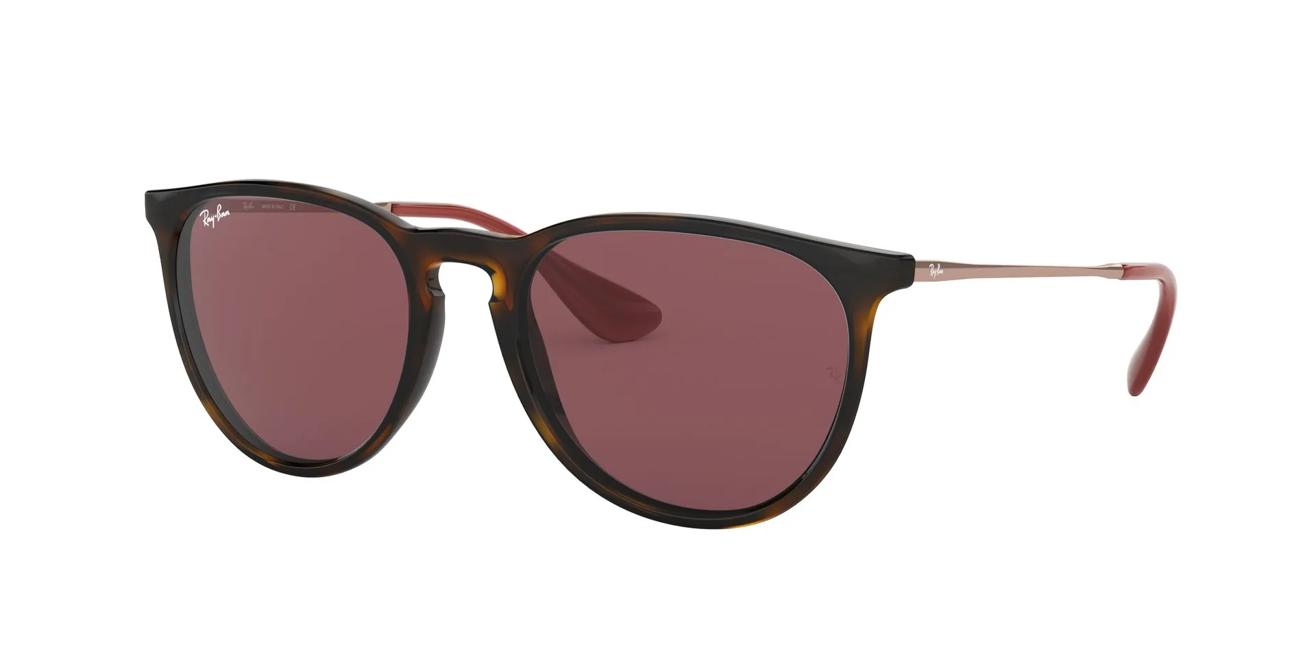 Ray-Ban Erika RB4171