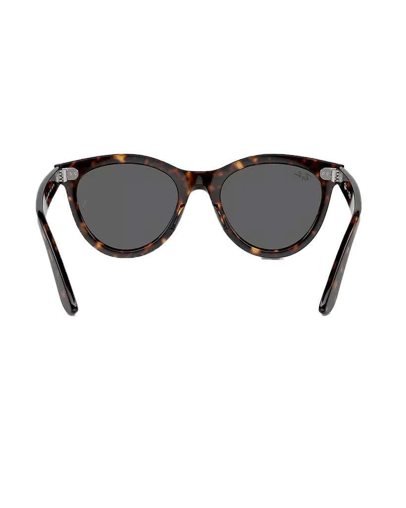 Wayfarer Way Sunglasses in Havana